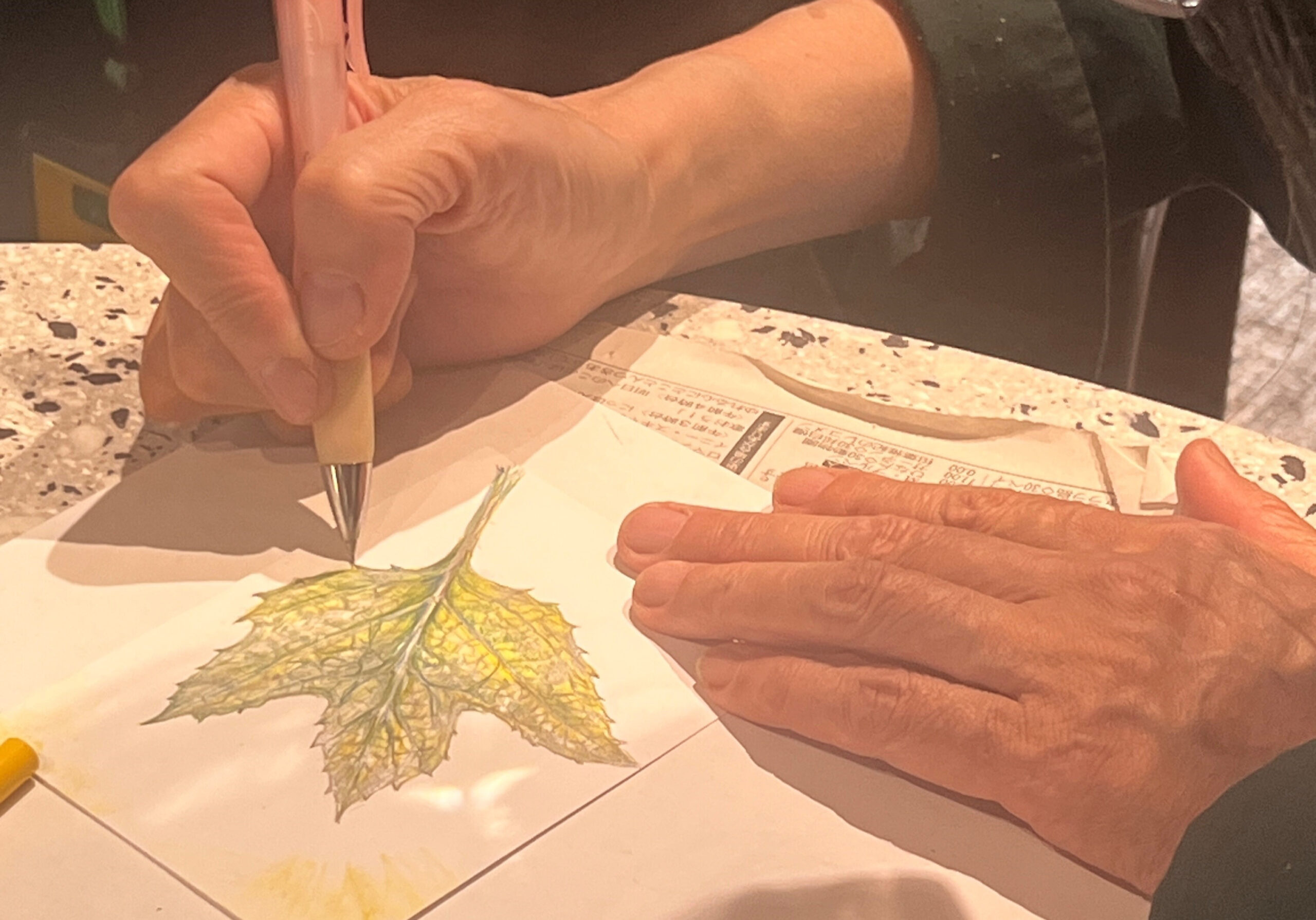 世田谷美術館の人気講座「葉っぱを描く」が、たまがわLOOPにやってきた！1